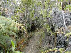 La vegetación con arbustos permite al excursionista protegerse del sol