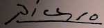 Firma Picasso