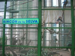 Exhibición Rincón de la Selva en el museo de los niños
