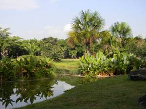 Vista del Jardín hidrofítico