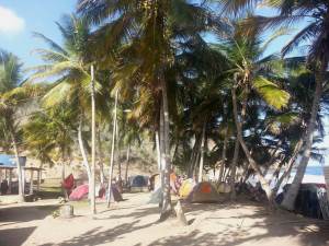 Carpas en Cepe