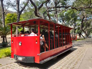 Autobús para hacer el paseo