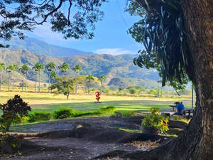 Vista a los jardines