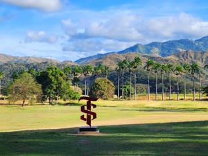 El logotipo de la hacienda santa teresa