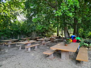 lugar para picnic