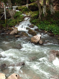 Río Guarapiche