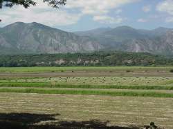 Valle del río El Tocuyo