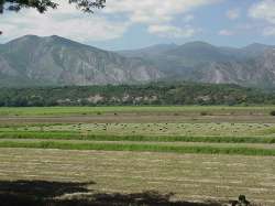 Valle del ro El Tocuyo