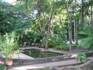 Jardines Casa de San Isidro