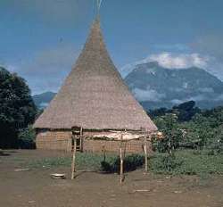 Typical aboriginal house from the South of Venezuela