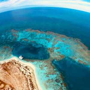 Barra Coralina en la tortuga