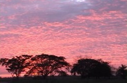 Atardecer en los llanos