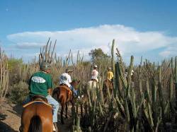 Montaña en Cabatucan