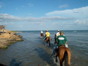 Paseo a Caballo