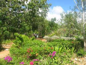 El jardin del laberinto
