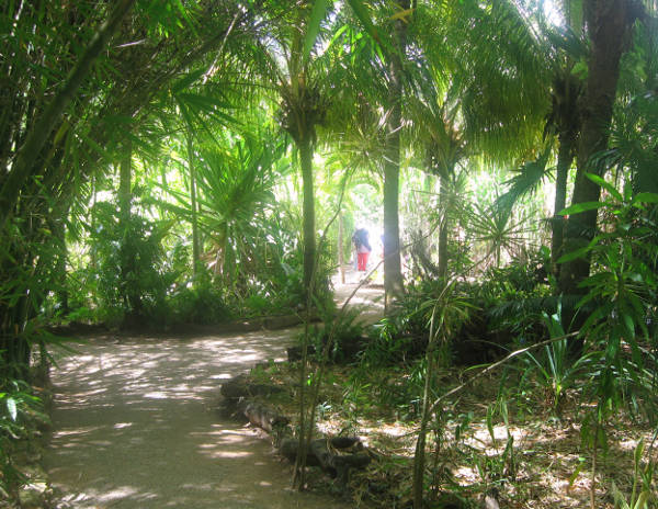 Caminería del laberinto