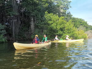 Flamingos en La Restinga