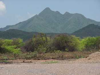 Monte de Macanao