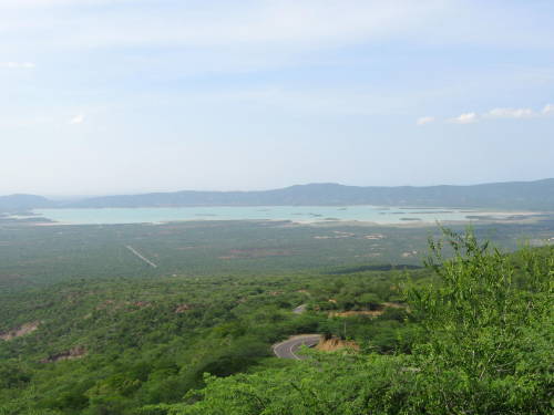 Sierra De Coro Cabure Venezuela Tuya