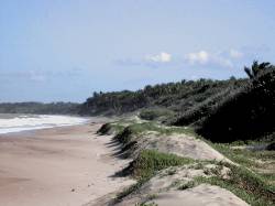 Playa cerca de la granja el Ojito