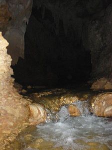 Fluyendo dentro de la Cueva
