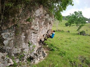 Escalada en roca caliza