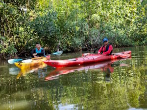 paso por el caño