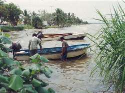 Pescadores en San Timoteo