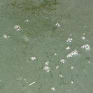 Les eaux termales produisent des bulles 
 cause de l abondance des minraux