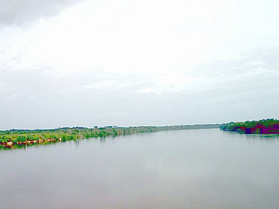 Campamento CauramaRío Caura Venezuela Tuya