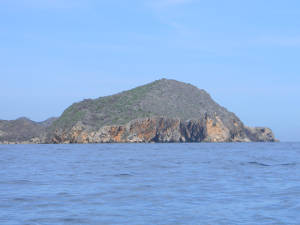 Formación La tortuga