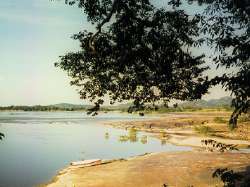 Vistario al Orinoco, Campamento Orinoquia