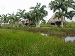 Campamento cerca del río de Agua