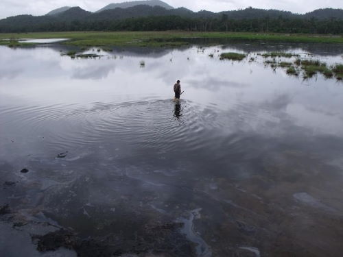 lago de asfalto guanoco