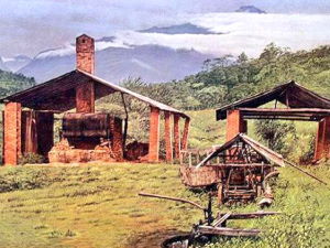 Petrólia del Táchira